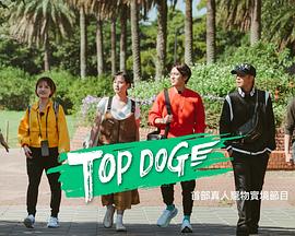 91麻豆映画《TOP DOG》免费在线观看