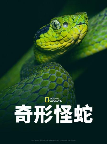 91麻豆映画传媒《奇形怪蛇》免费在线观看